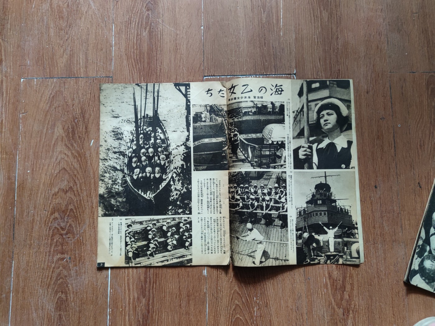 中核食堂第二十六次拍卖 写真周报11