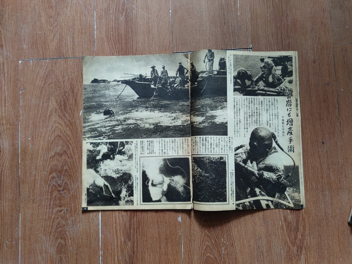 中核食堂第二十六次拍卖 写真周报11