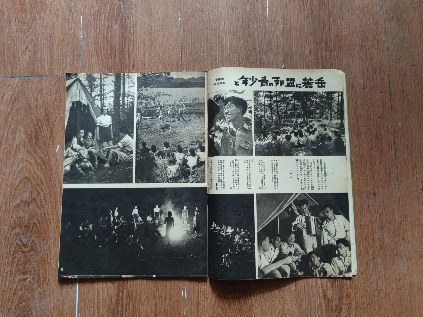 中核食堂第二十六次拍卖 写真周报12