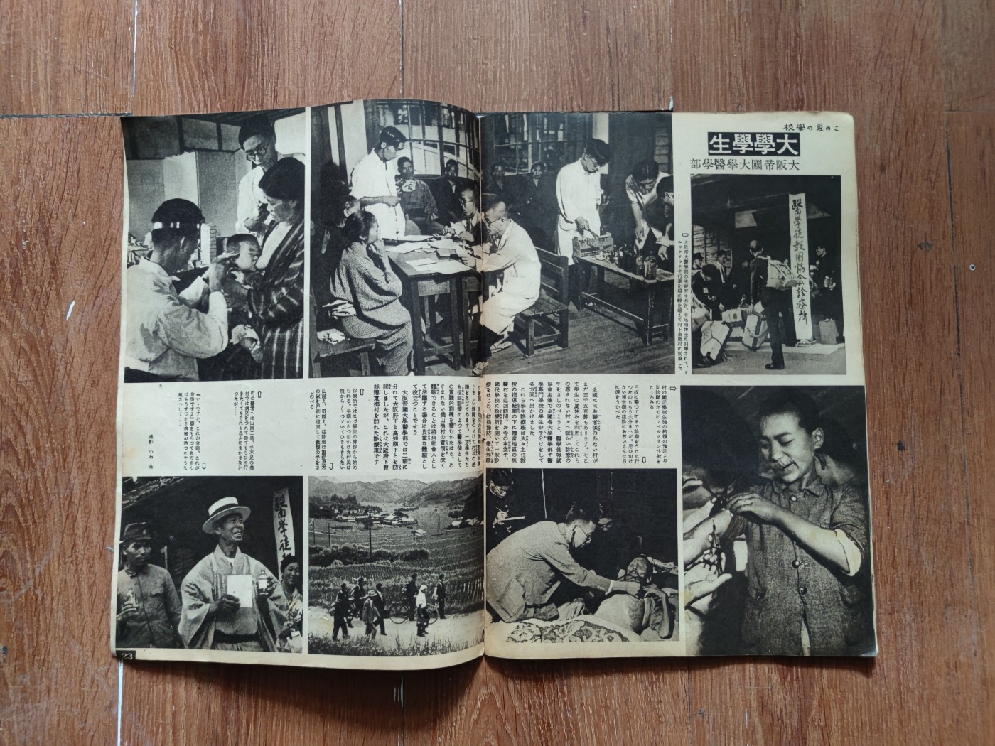 中核食堂第二十六次拍卖 写真周报12