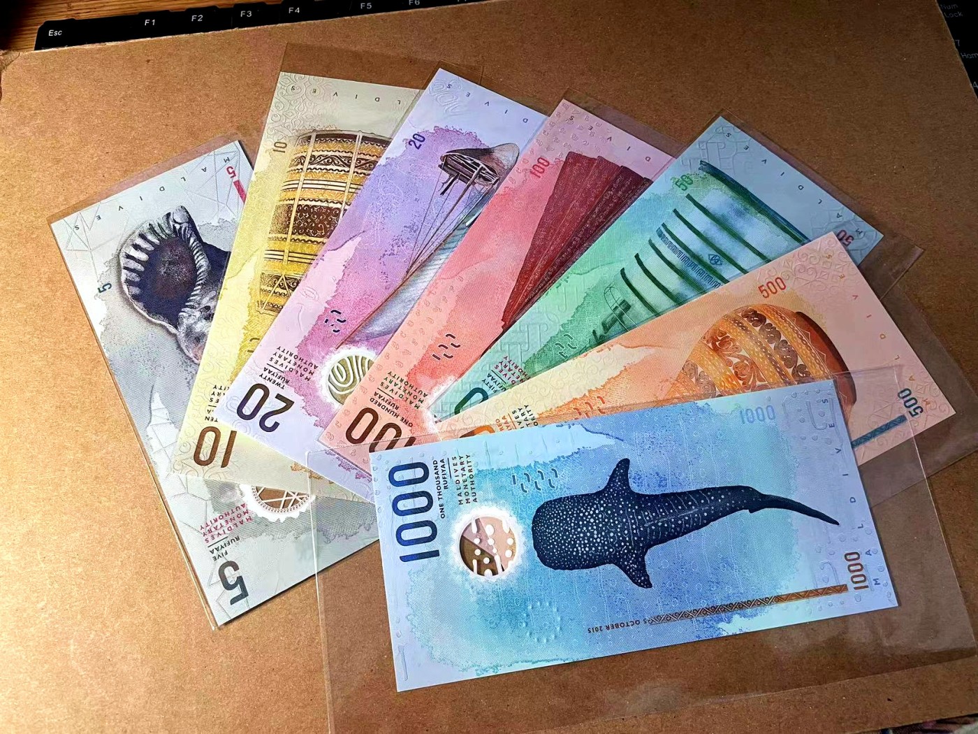 【Blue Auction】✨世界纸币精拍第451期【精】  【一组7张】马尔代夫5-1000拉菲亚（其中1000为A冠）全新UNC