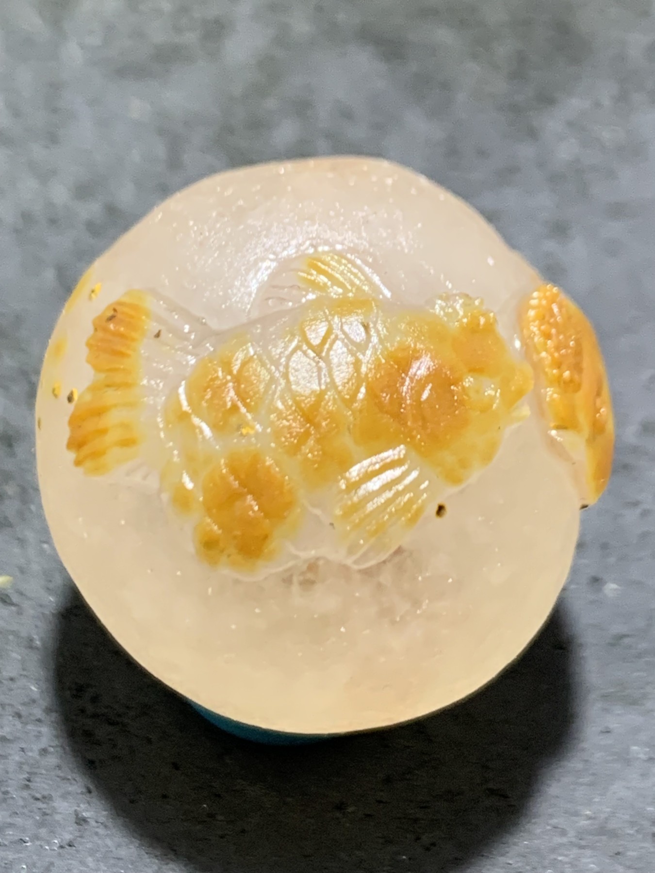 精美冰飘亚光糖心料战国红玛瑙手工俏色巧雕金鱼大随形珠一个，