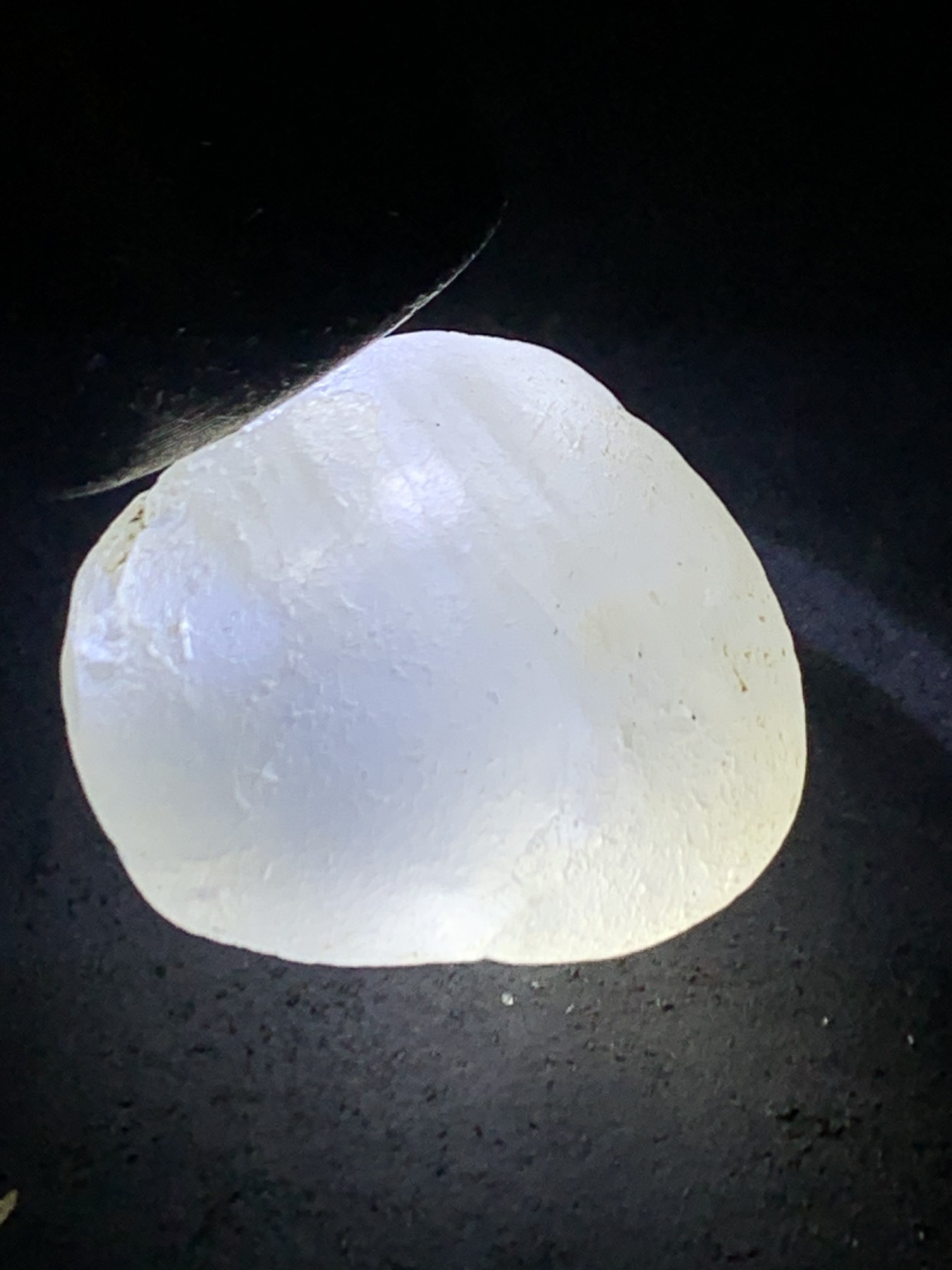 精美天然地表宝石光金丝玉原石一块，