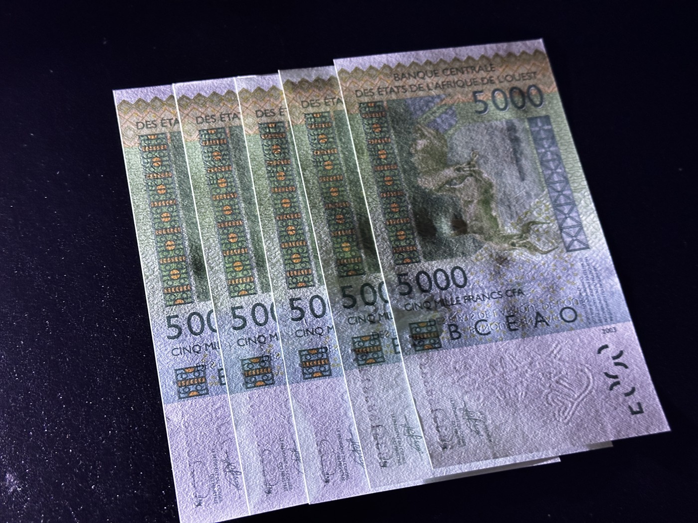 《外钞收藏家》第三百五十一期 2003年西非5000法郎 全新UNC 五张一起