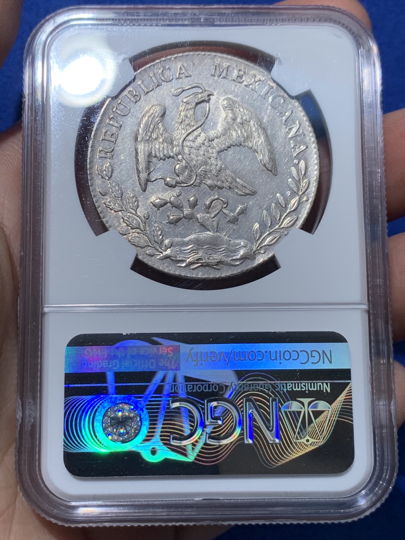 《竞宝斋》第251场-周日，周一2场连拍 (全场包邮) NGC MS61 墨西哥1894花边鹰洋 底板有PL质感 羽毛根根分明 低评 61分少见这样的