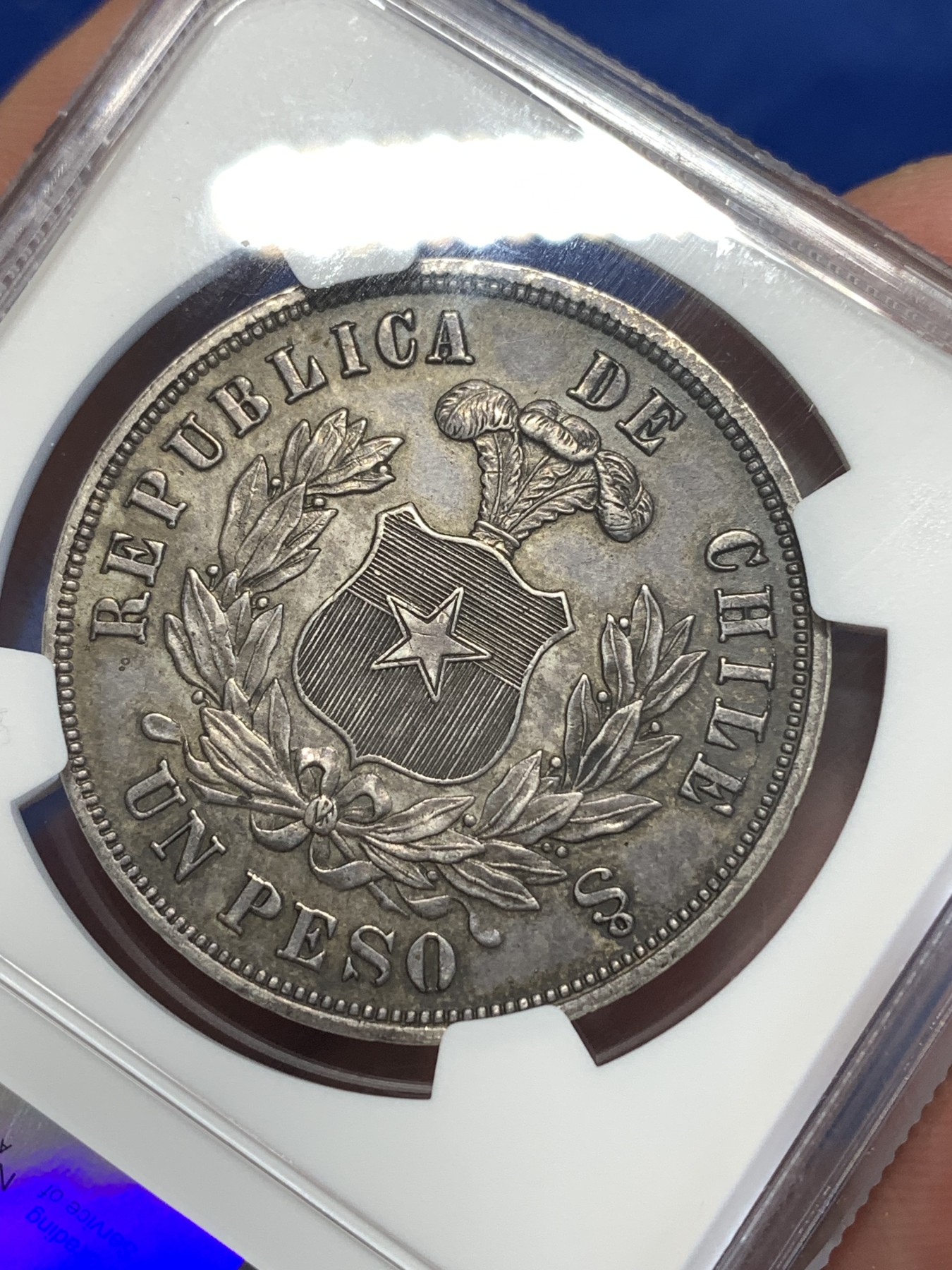 《竞宝斋》第251场-周日，周一2场连拍 (全场包邮) NGC AUD 1878年智利雄鹰原味比索大银