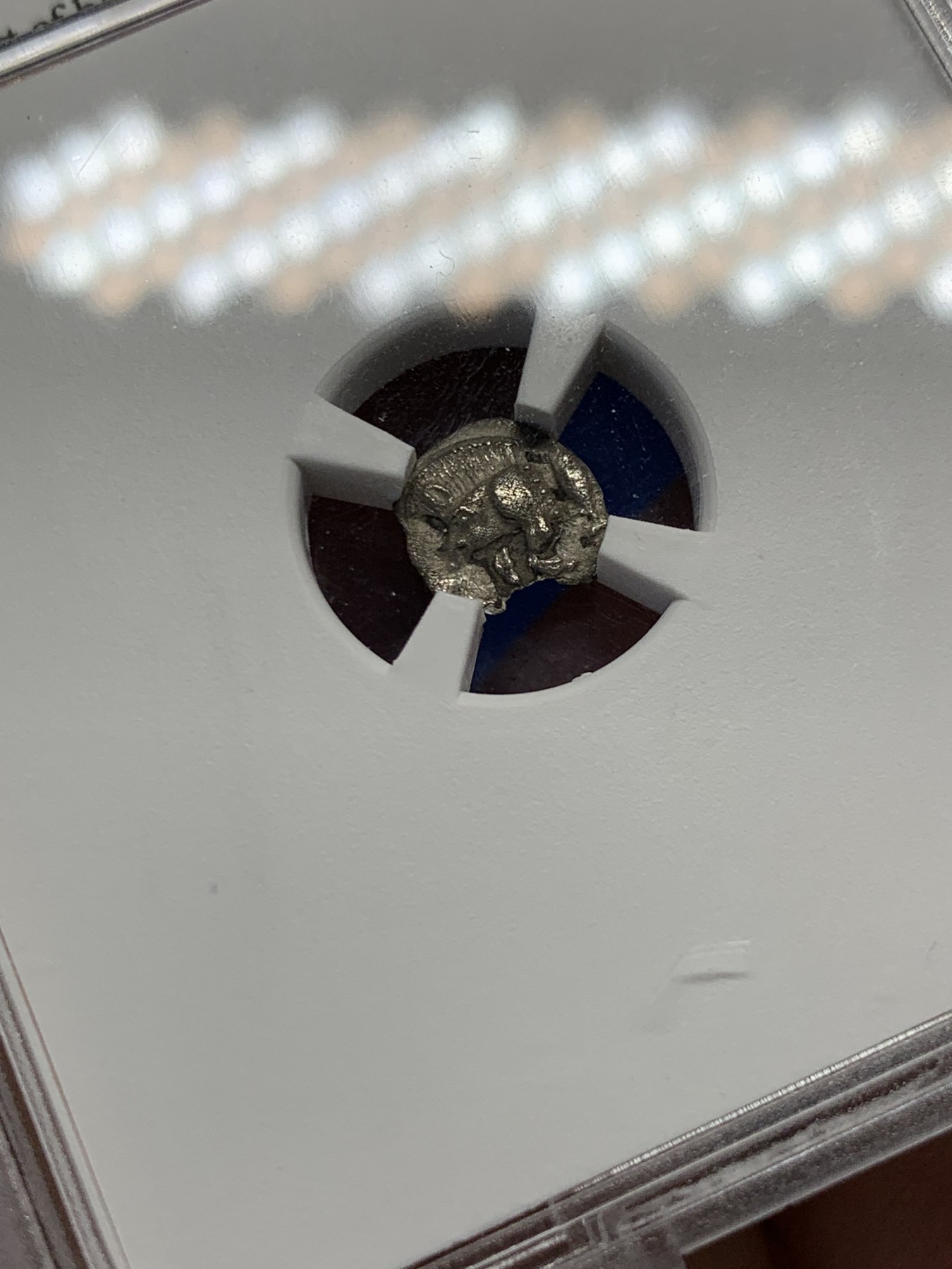 《竞宝斋》第251场-周日，周一2场连拍 (全场包邮) TQG评级 XF 5/5 3/5 打制满分 公元前450年-前400年 古希腊密西亚地区柯孜克斯城邦 狮子与野猪银币 小巧精致