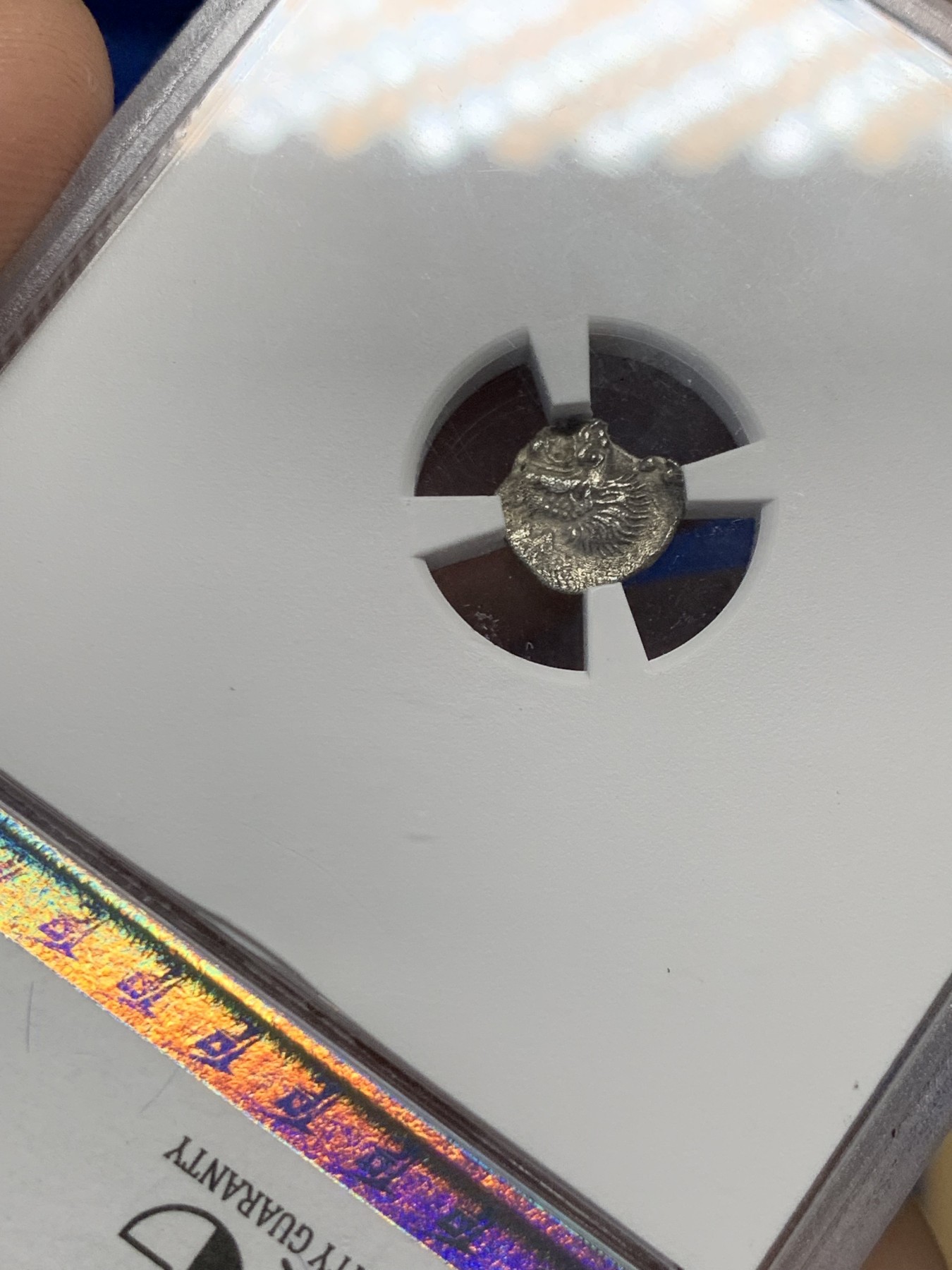 《竞宝斋》第251场-周日，周一2场连拍 (全场包邮) TQG评级 XF 5/5 3/5 打制满分 公元前450年-前400年 古希腊密西亚地区柯孜克斯城邦 狮子与野猪银币 小巧精致