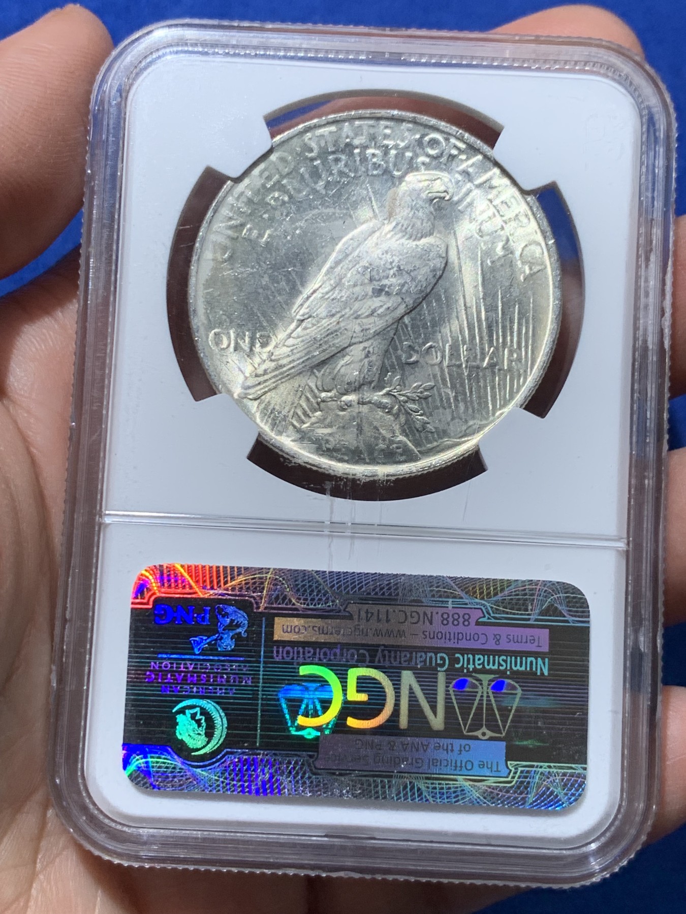 《竞宝斋》第251场-周日，周一2场连拍 (全场包邮) NGC MS64 美国1923年和平银元P版