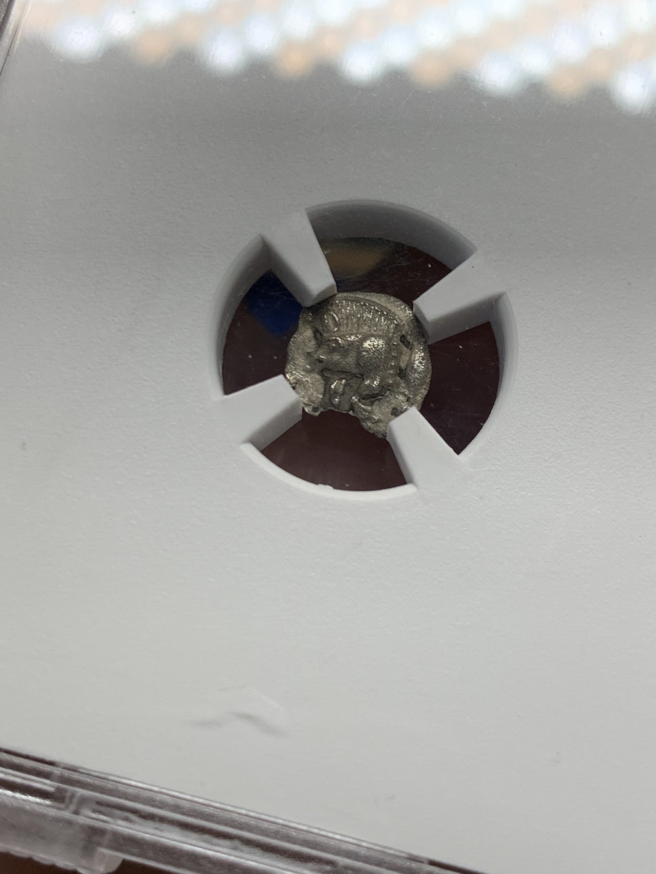 《竞宝斋》第251场-周日，周一2场连拍 (全场包邮) TQG评级 XF 5/5 3/5 打制满分 公元前450年-前400年 古希腊密西亚地区柯孜克斯城邦 狮子与野猪银币 小巧精致