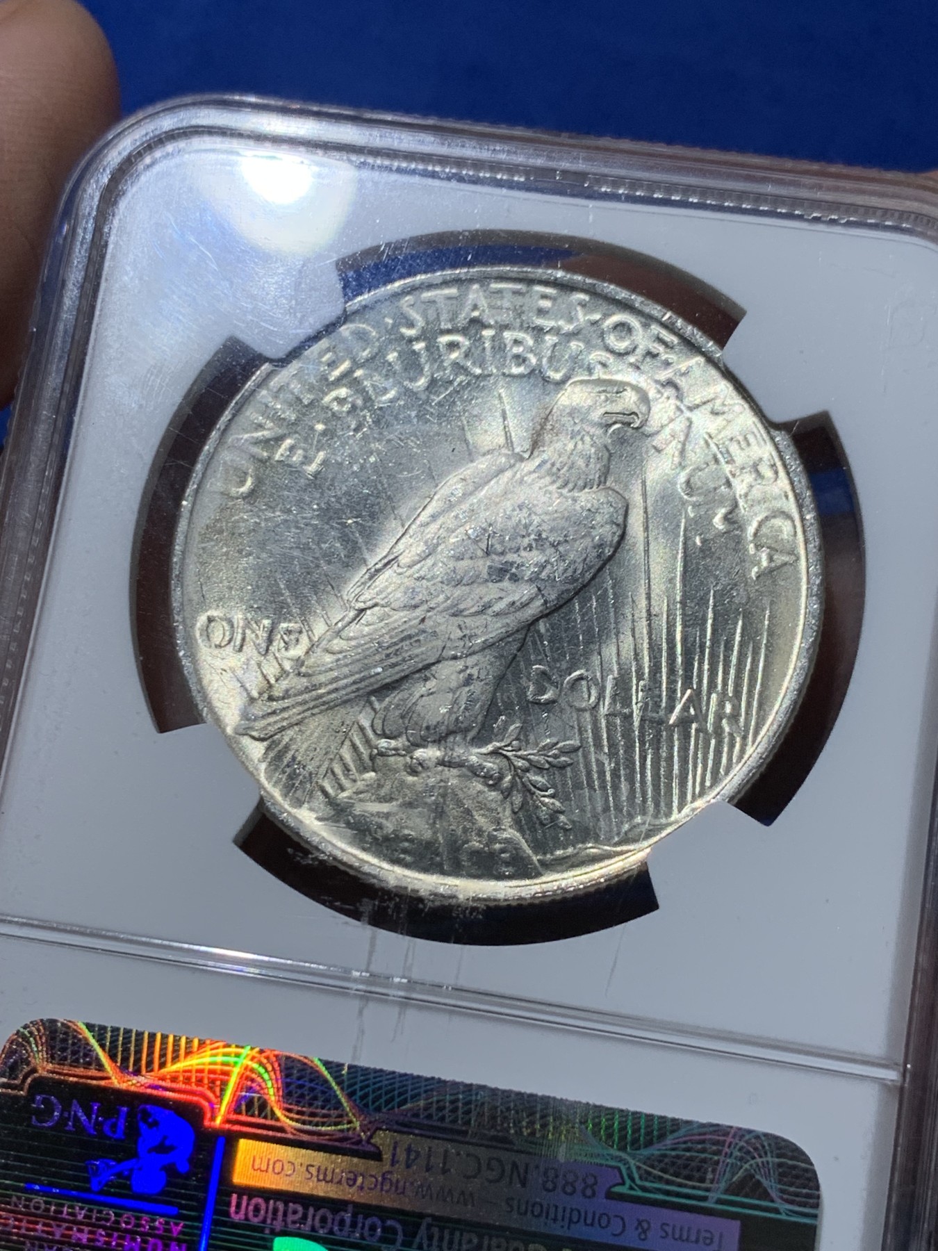 《竞宝斋》第251场-周日，周一2场连拍 (全场包邮) NGC MS64 美国1923年和平银元P版