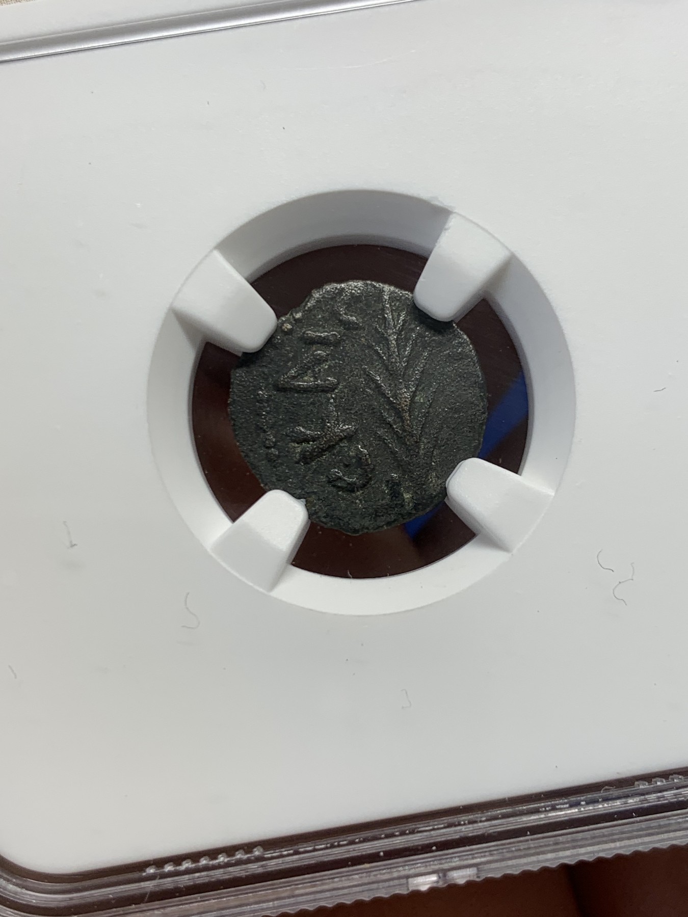 《竞宝斋》第251场-周日，周一2场连拍 (全场包邮) NGC VF 古犹太币 古罗马帝国皇帝尼禄任命的犹地亚第五任总督菲斯都（公元59-62年）1鲁斯塔铜币 铜币的正面直立的棕榈叶 背面花环内希腊文“尼禄”  犹地亚地区包含现在的加沙、撒马利亚、犹地亚和戈兰高地等区域 这一地区被称为“迦南” 这枚币发行后没几年就爆发了著名的犹太人反抗罗马帝国的战争