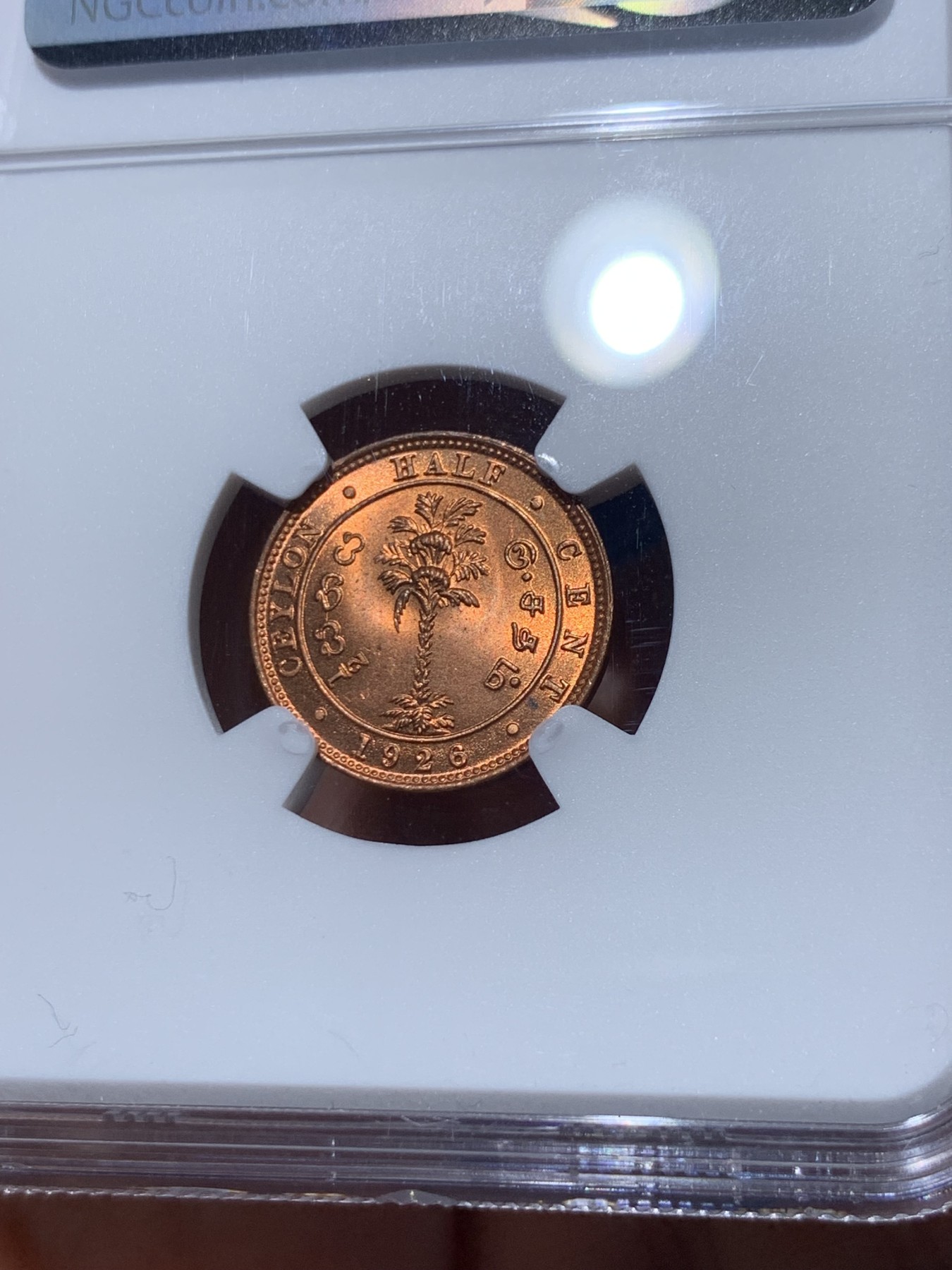 《竞宝斋》第251场-周日，周一2场连拍 (全场包邮) NGC MS65RD 英属锡兰 1926年 1/2分铜币 乔治五世 原红铜光 极品品相