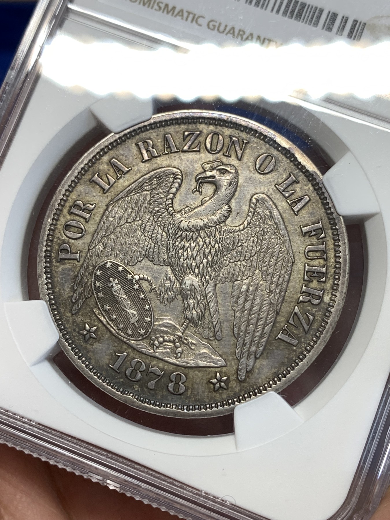 《竞宝斋》第251场-周日，周一2场连拍 (全场包邮) NGC AUD 1878年智利雄鹰原味比索大银