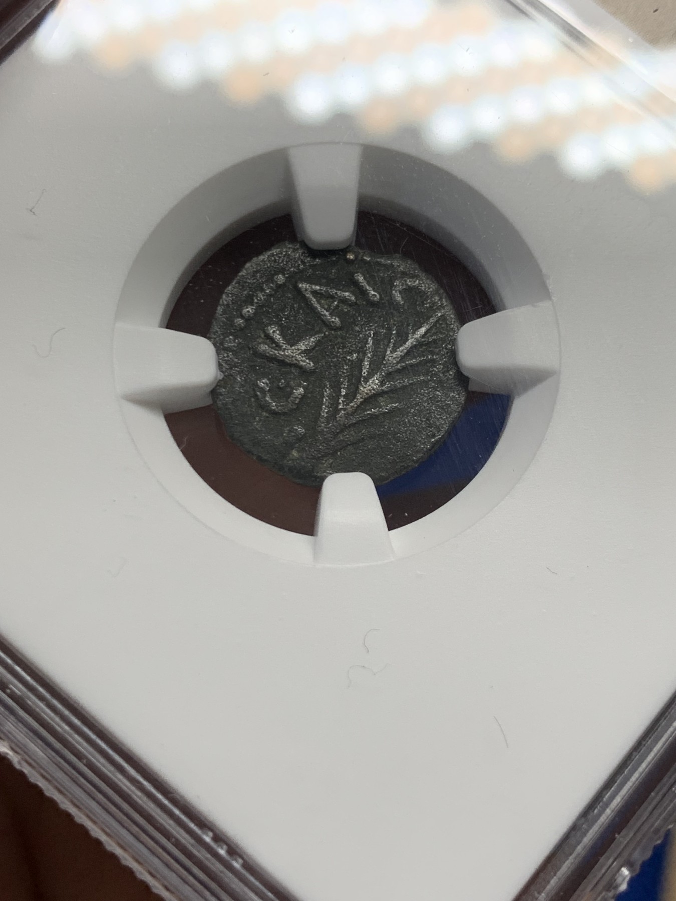 《竞宝斋》第251场-周日，周一2场连拍 (全场包邮) NGC VF 古犹太币 古罗马帝国皇帝尼禄任命的犹地亚第五任总督菲斯都（公元59-62年）1鲁斯塔铜币 铜币的正面直立的棕榈叶 背面花环内希腊文“尼禄”  犹地亚地区包含现在的加沙、撒马利亚、犹地亚和戈兰高地等区域 这一地区被称为“迦南” 这枚币发行后没几年就爆发了著名的犹太人反抗罗马帝国的战争