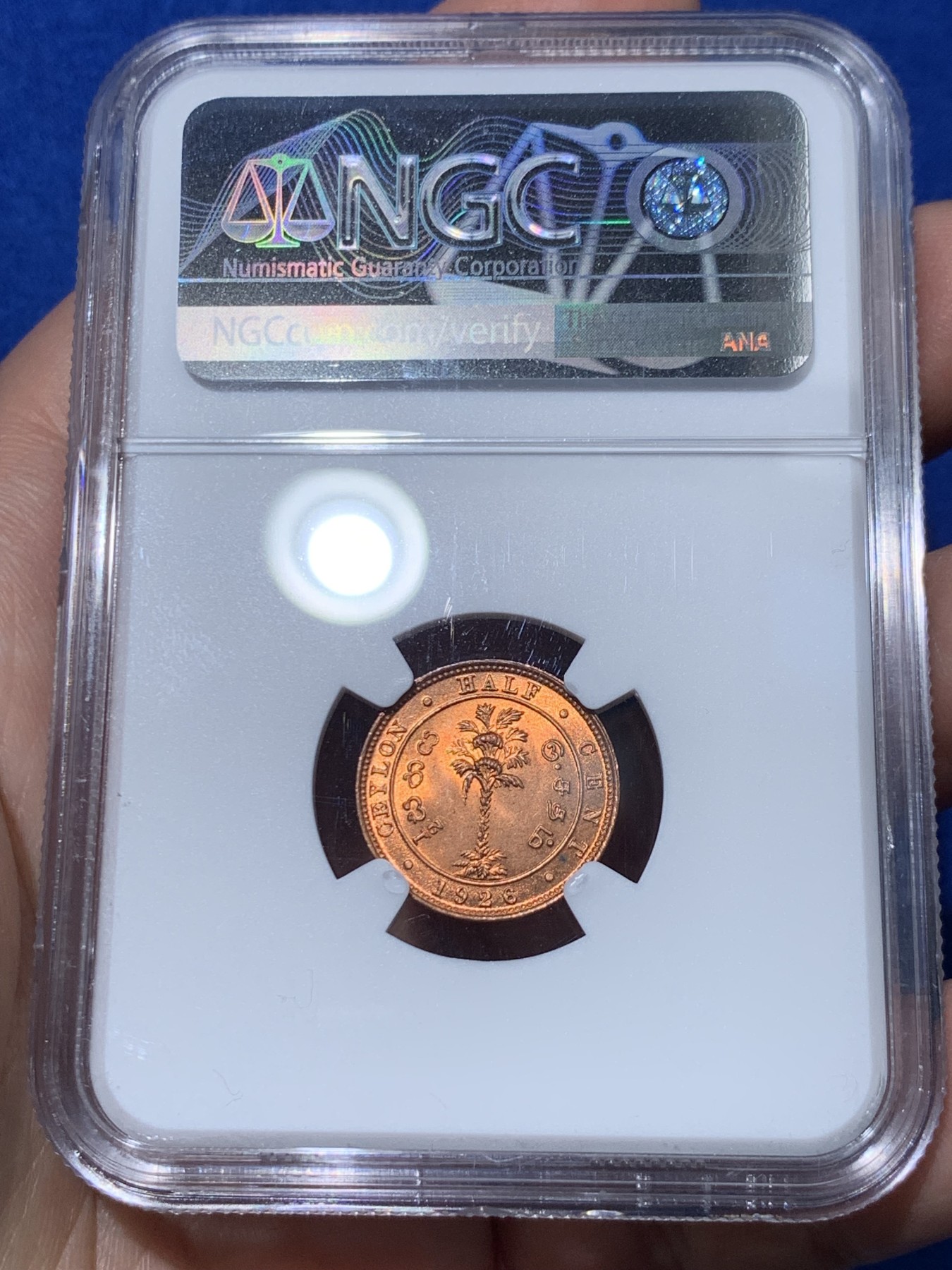 《竞宝斋》第251场-周日，周一2场连拍 (全场包邮) NGC MS65RD 英属锡兰 1926年 1/2分铜币 乔治五世 原红铜光 极品品相