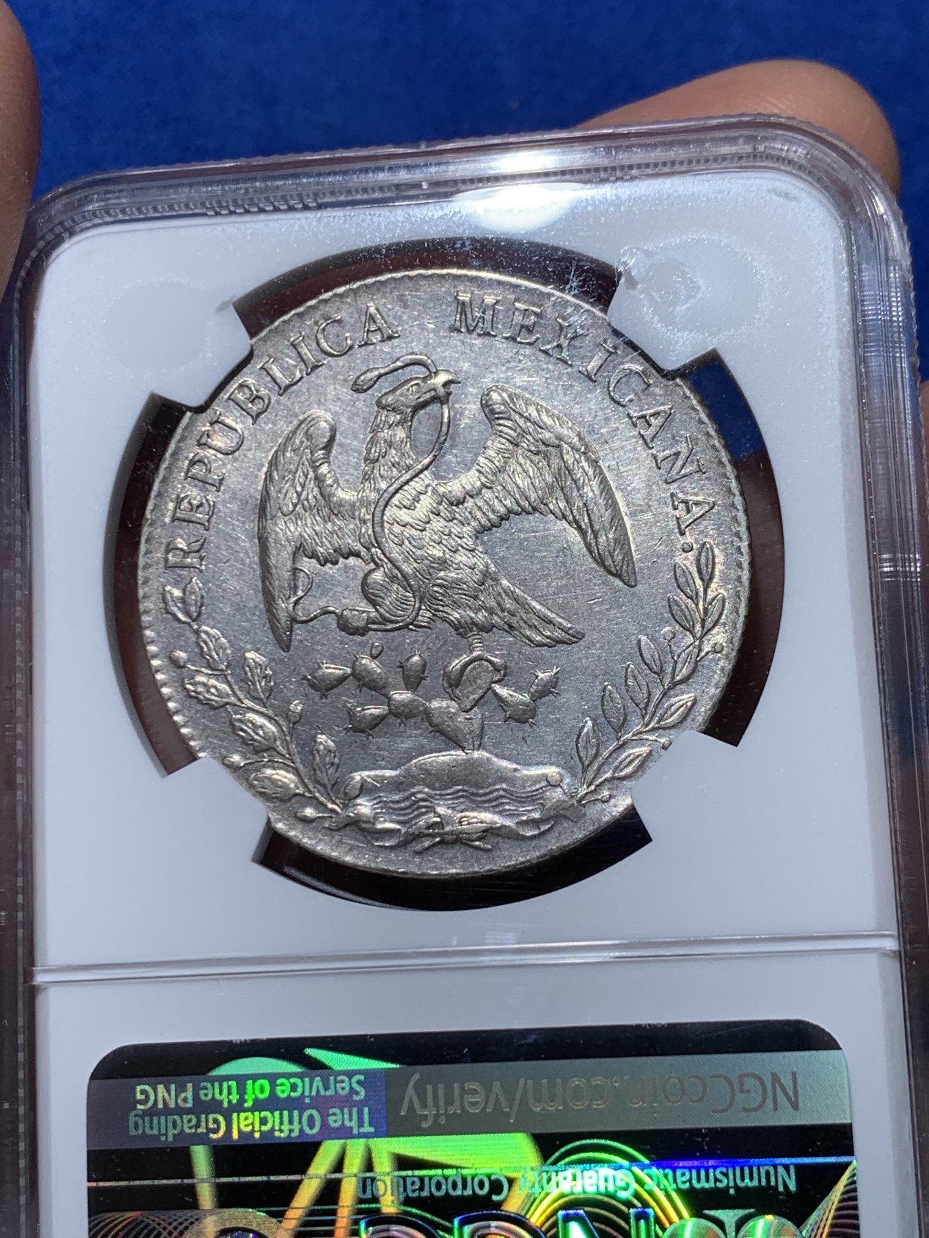 《竞宝斋》第251场-周日，周一2场连拍 (全场包邮) NGC MS61 墨西哥1894花边鹰洋 底板有PL质感 羽毛根根分明 低评 61分少见这样的