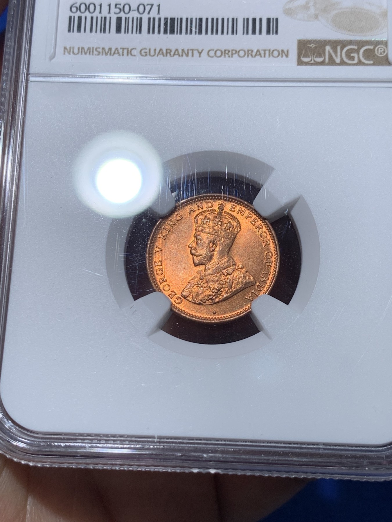 《竞宝斋》第251场-周日，周一2场连拍 (全场包邮) NGC MS65RD 英属锡兰 1926年 1/2分铜币 乔治五世 原红铜光 极品品相