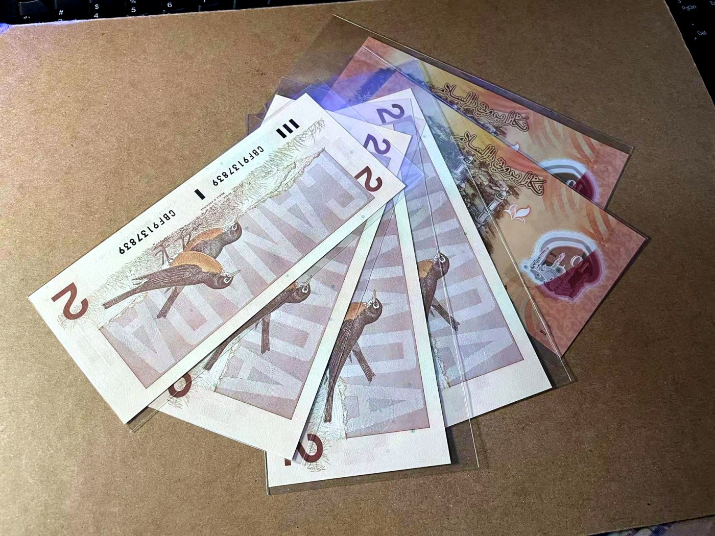 【Blue Auction】✨世界纸币精拍第453期【精】 【一组6张】文莱10元&加拿大2元一组 全新UNC