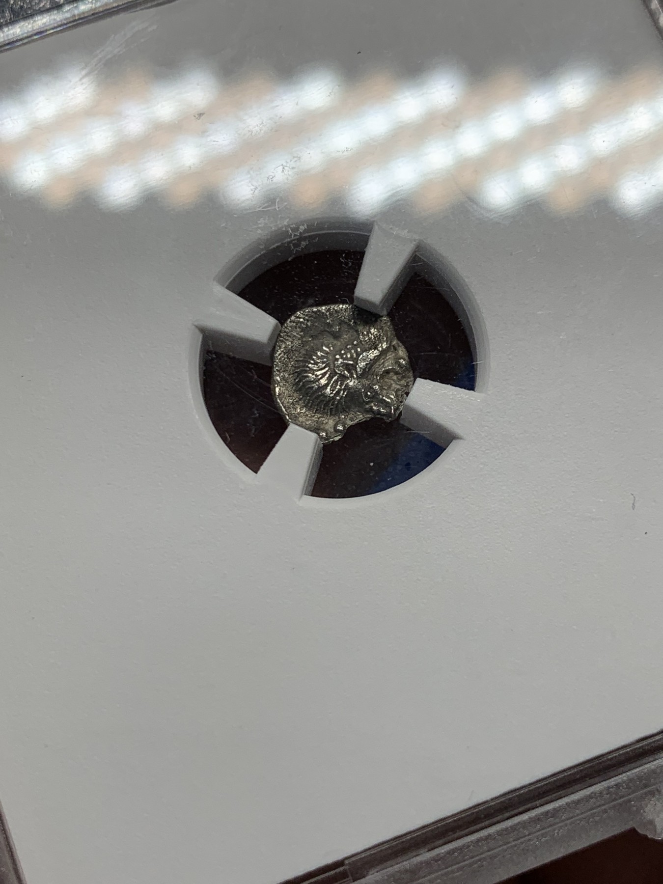 《竞宝斋》第251场-周日，周一2场连拍 (全场包邮) TQG评级 XF 5/5 3/5 打制满分 公元前450年-前400年 古希腊密西亚地区柯孜克斯城邦 狮子与野猪银币 小巧精致