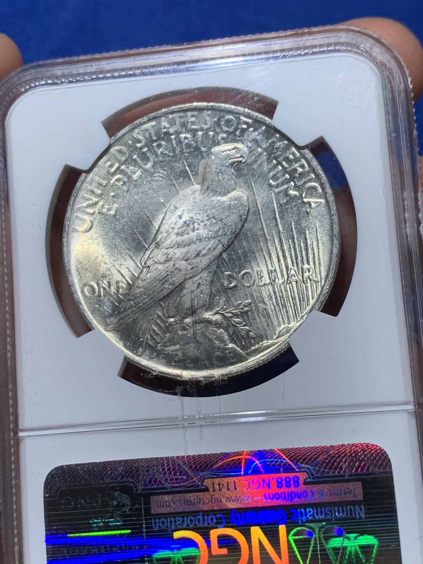 《竞宝斋》第251场-周日，周一2场连拍 (全场包邮) NGC MS64 美国1923年和平银元P版