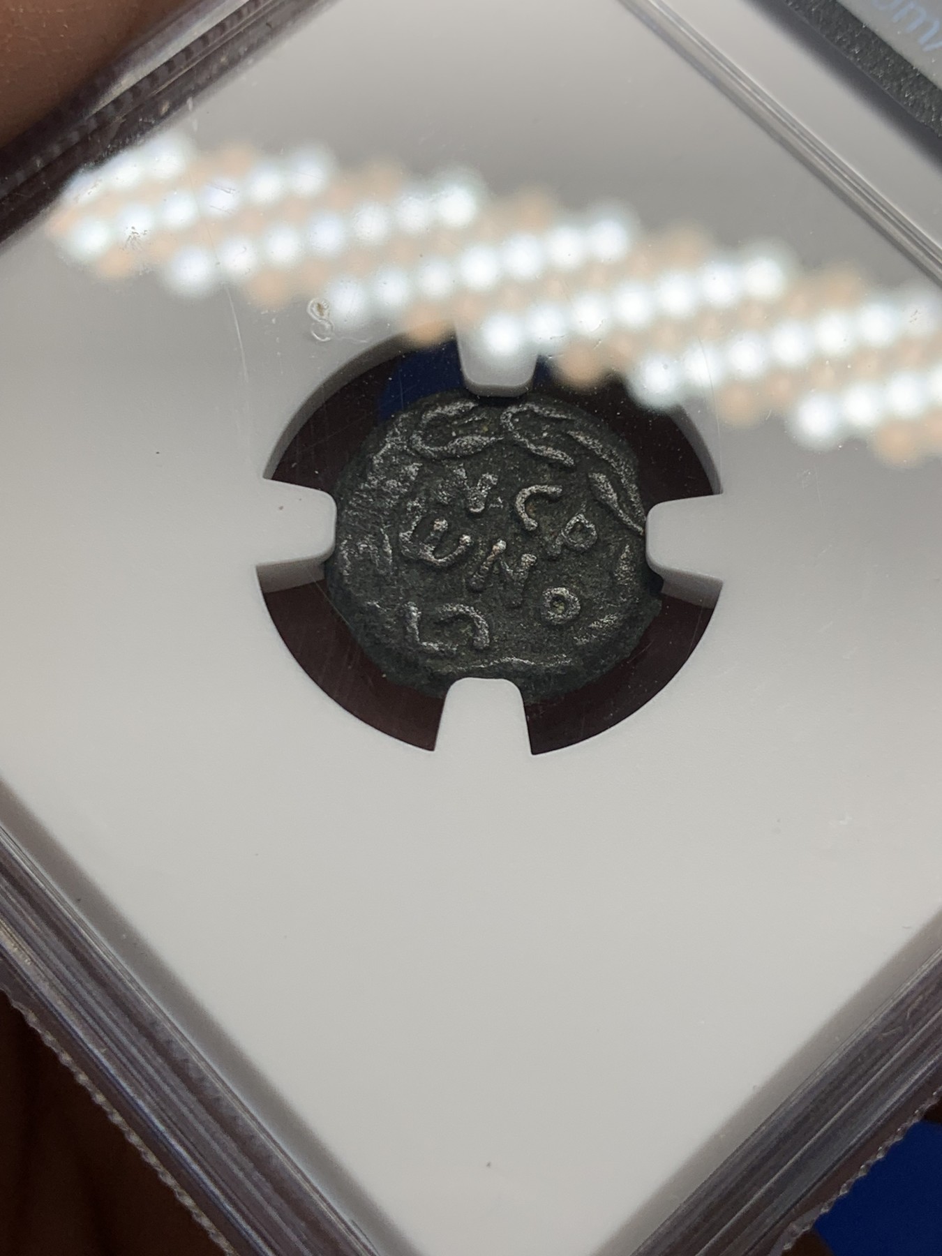 《竞宝斋》第251场-周日，周一2场连拍 (全场包邮) NGC VF 古犹太币 古罗马帝国皇帝尼禄任命的犹地亚第五任总督菲斯都（公元59-62年）1鲁斯塔铜币 铜币的正面直立的棕榈叶 背面花环内希腊文“尼禄”  犹地亚地区包含现在的加沙、撒马利亚、犹地亚和戈兰高地等区域 这一地区被称为“迦南” 这枚币发行后没几年就爆发了著名的犹太人反抗罗马帝国的战争