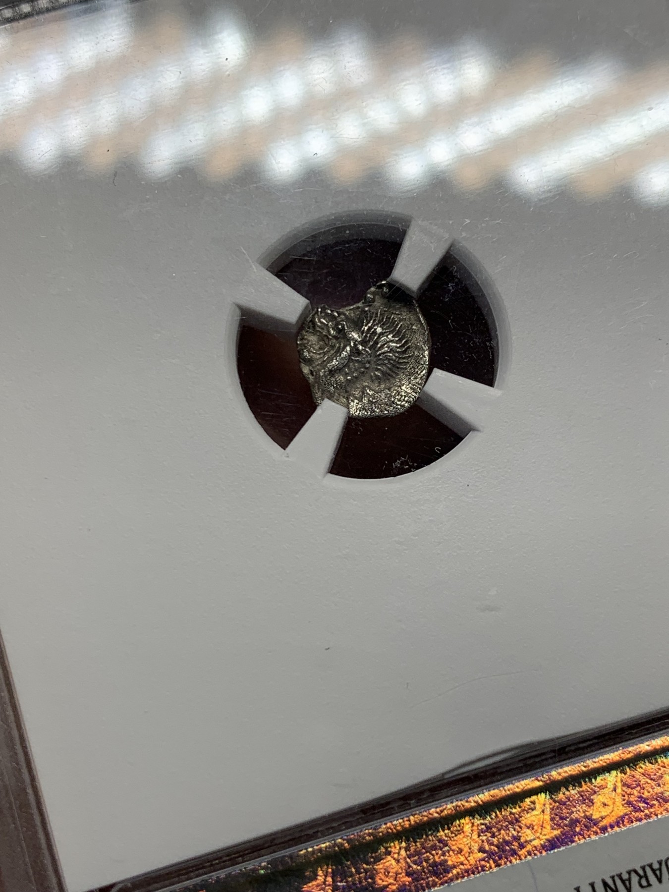 《竞宝斋》第251场-周日，周一2场连拍 (全场包邮) TQG评级 XF 5/5 3/5 打制满分 公元前450年-前400年 古希腊密西亚地区柯孜克斯城邦 狮子与野猪银币 小巧精致