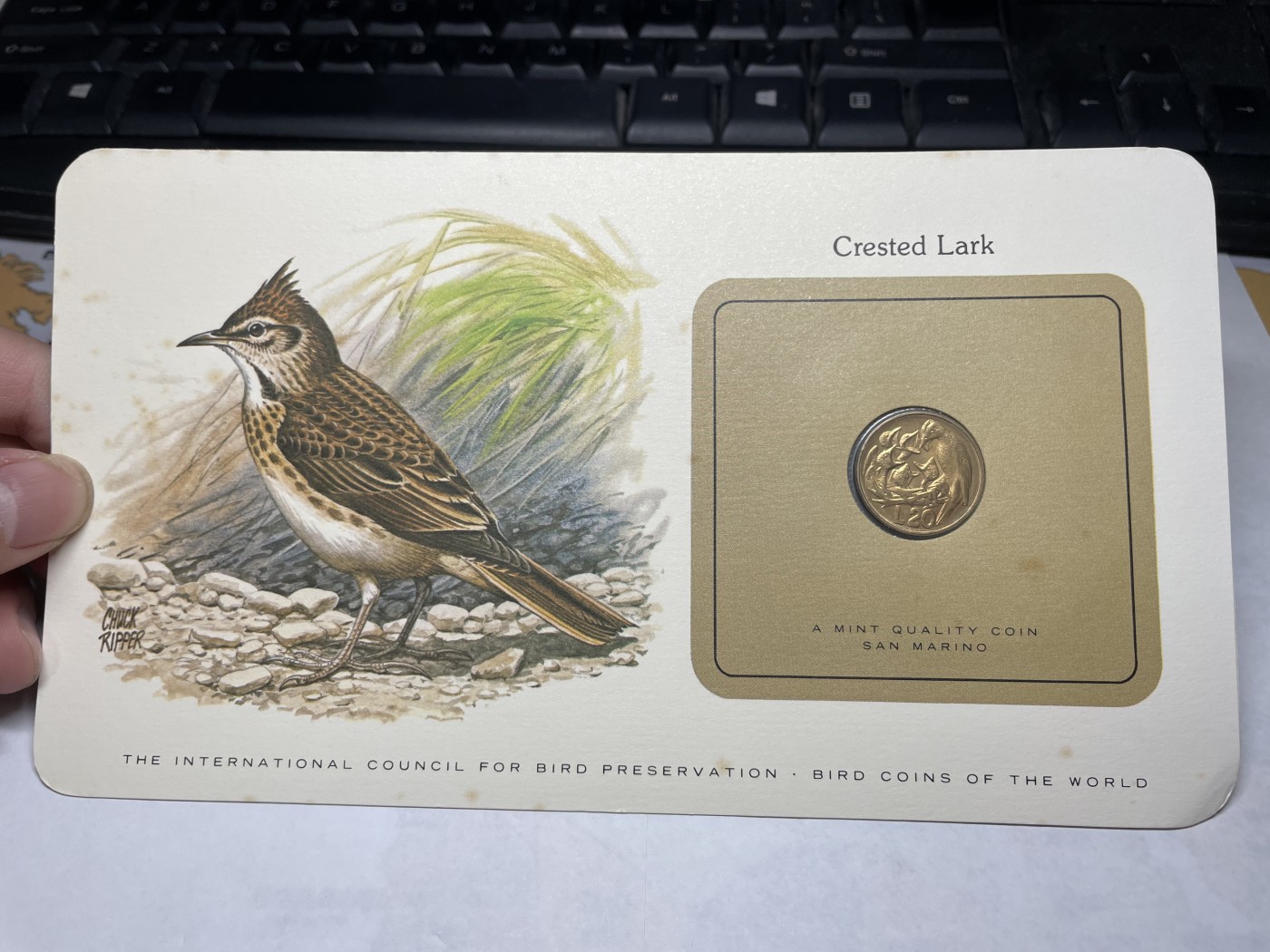 2024年集古藏今外币拍卖第三期-第1场—硬币上的鸟类专场（总第21拍） 1975年圣玛力诺20里拉—凤头百灵鸟