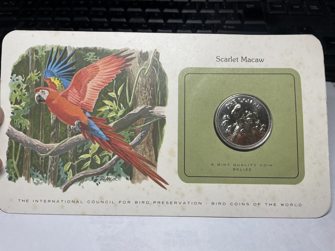 2024年集古藏今外币拍卖第三期-第1场—硬币上的鸟类专场（总第21拍） 1980年伯利兹1元—金刚鹦鹉