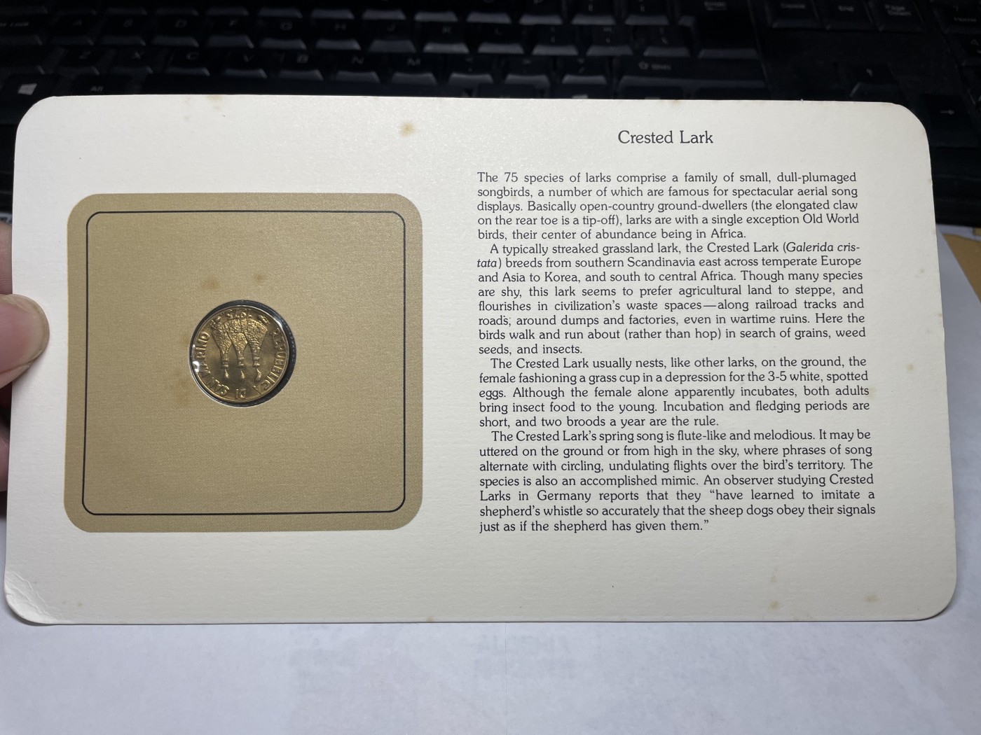 2024年集古藏今外币拍卖第三期-第1场—硬币上的鸟类专场（总第21拍） 1975年圣玛力诺20里拉—凤头百灵鸟