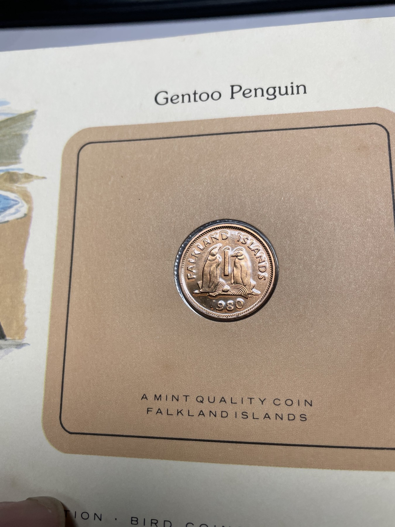 2024年集古藏今外币拍卖第三期-第1场—硬币上的鸟类专场（总第21拍） 1980年福克兰群岛1便士—企鹅