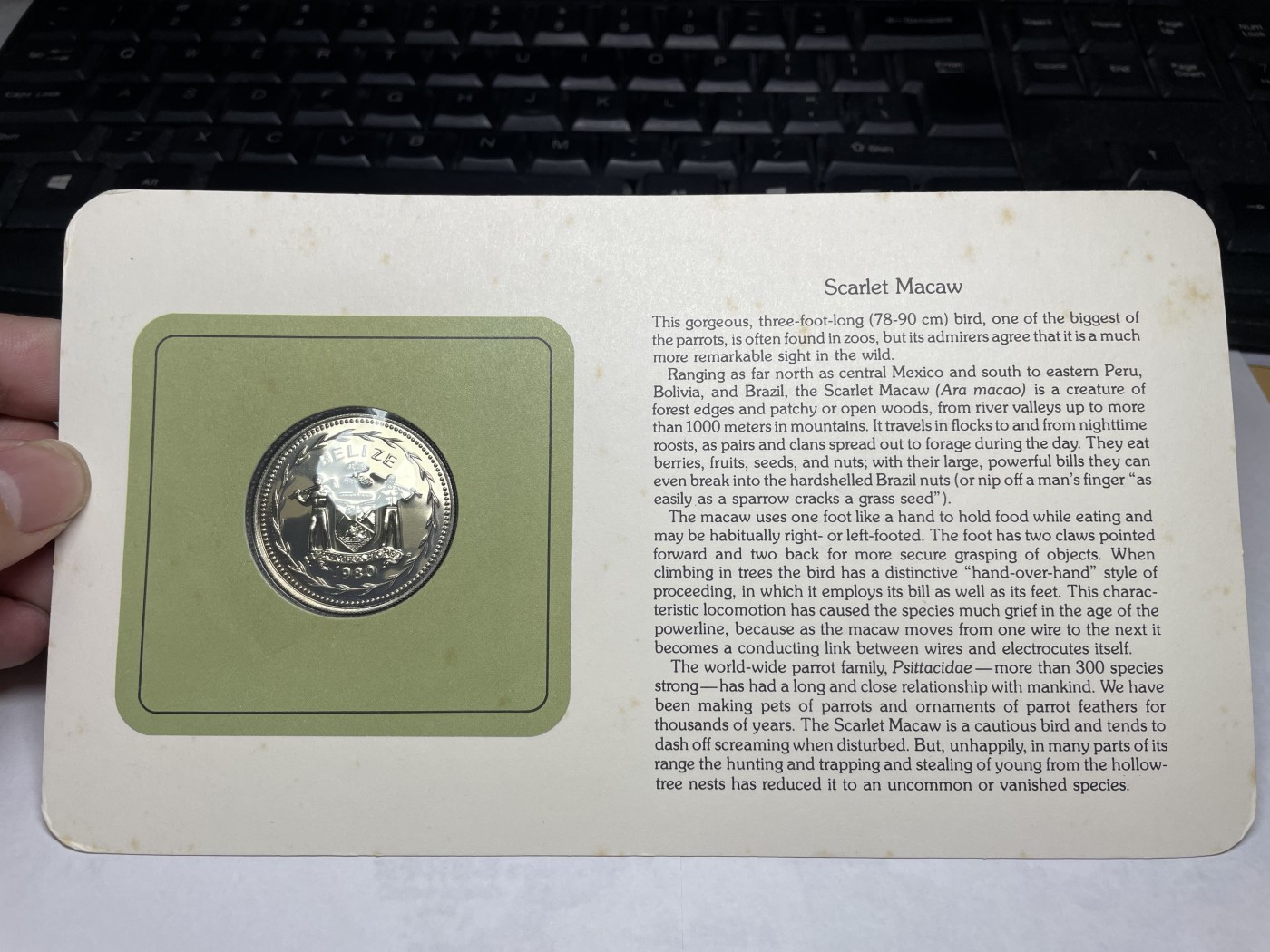 2024年集古藏今外币拍卖第三期-第1场—硬币上的鸟类专场（总第21拍） 1980年伯利兹1元—金刚鹦鹉