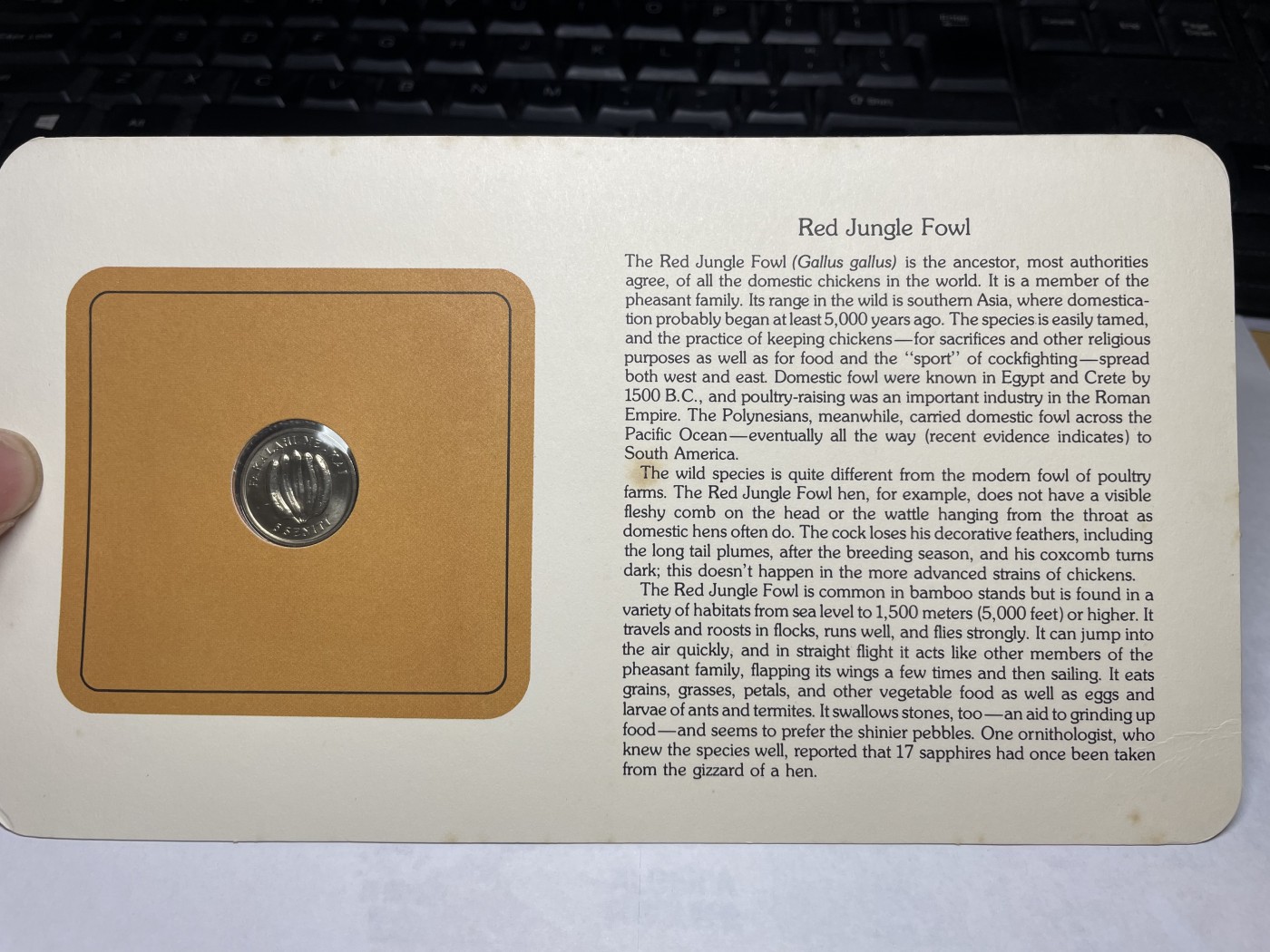 2024年集古藏今外币拍卖第三期-第1场—硬币上的鸟类专场（总第21拍） 1979年汤加5分—红原鸡