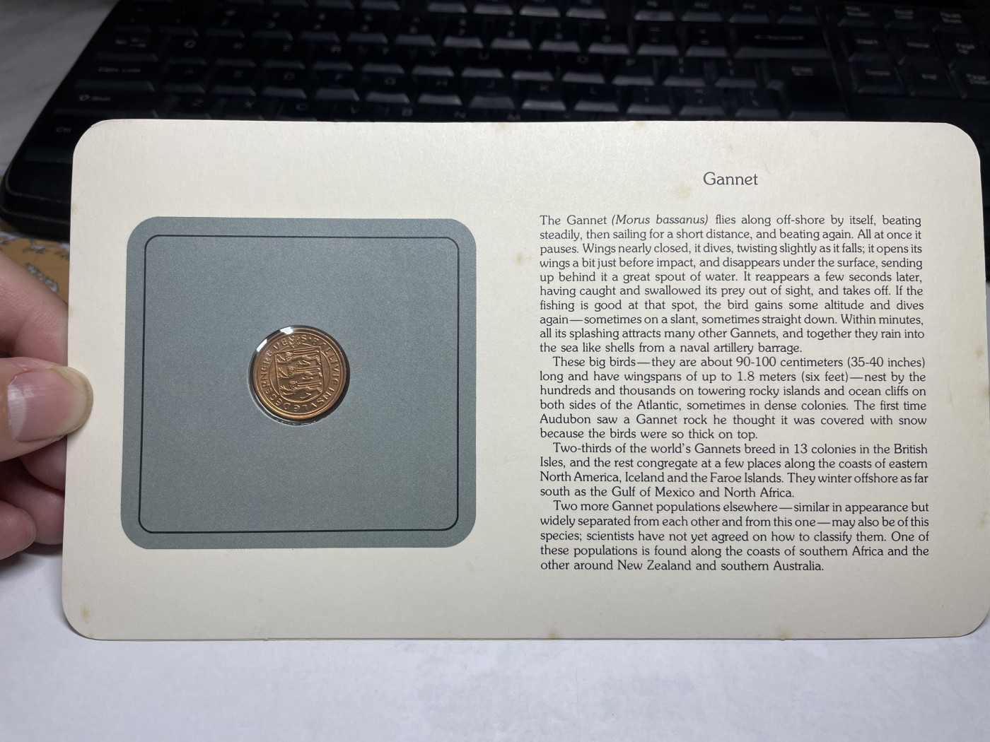 2024年集古藏今外币拍卖第三期-第1场—硬币上的鸟类专场（总第21拍） 1979年英属根西岛1便士—塘鹅