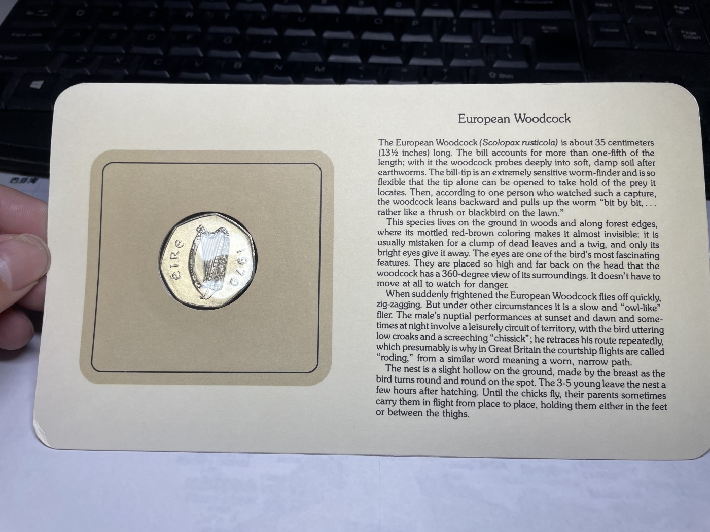 2024年集古藏今外币拍卖第三期-第1场—硬币上的鸟类专场（总第21拍） 1979年爱尔兰50便士—丘鹬