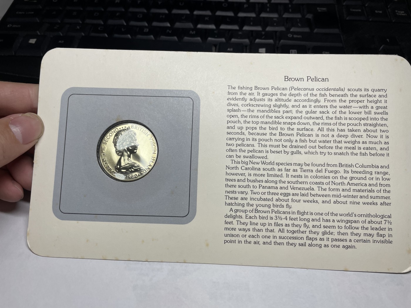 2024年集古藏今外币拍卖第三期-第1场—硬币上的鸟类专场（总第21拍） 1980年英属维尔京50分—褐鹈鹕