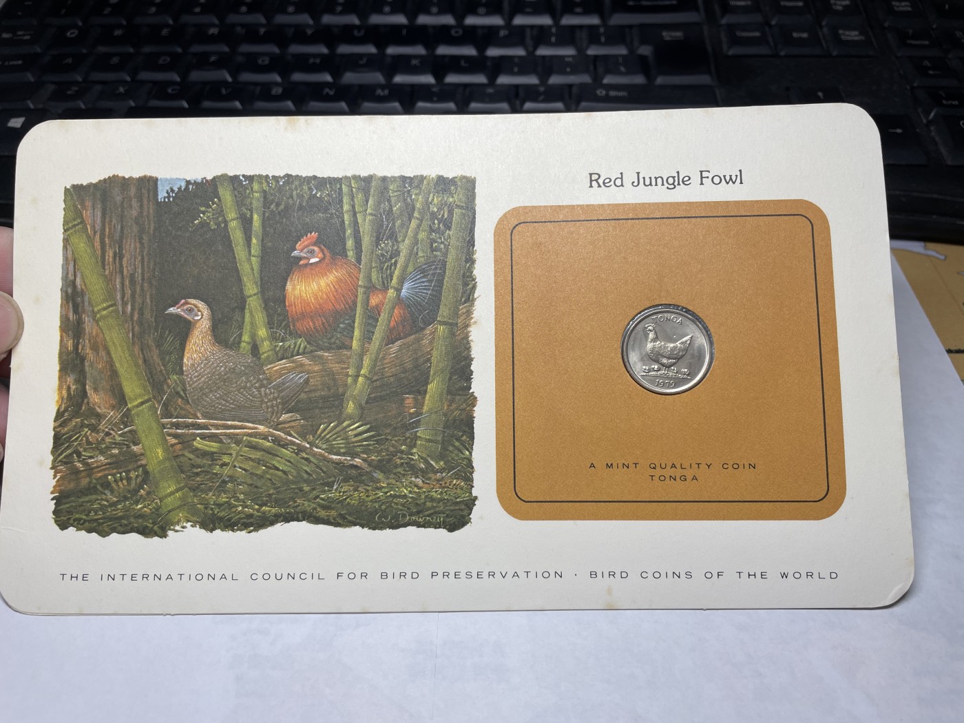 2024年集古藏今外币拍卖第三期-第1场—硬币上的鸟类专场（总第21拍） 1979年汤加5分—红原鸡