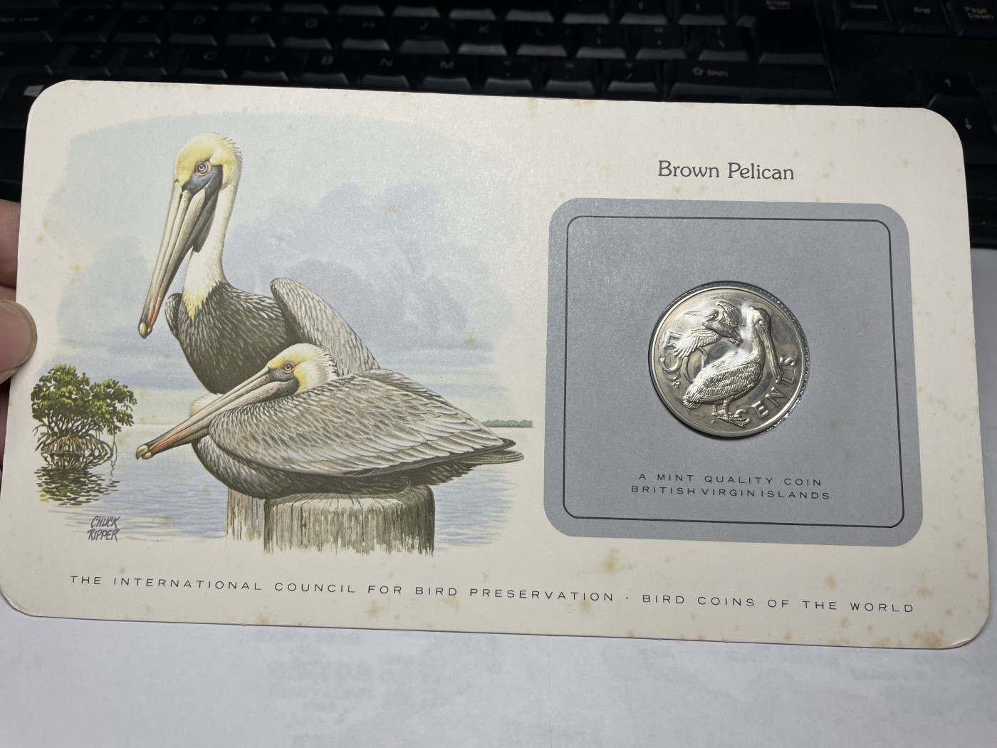 2024年集古藏今外币拍卖第三期-第1场—硬币上的鸟类专场（总第21拍） 1980年英属维尔京50分—褐鹈鹕