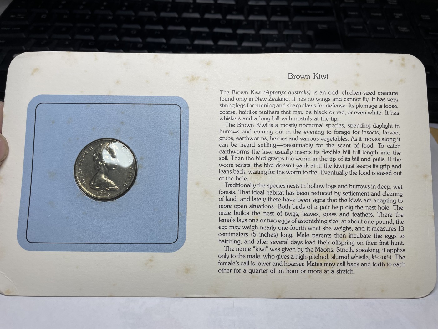 2024年集古藏今外币拍卖第三期-第1场—硬币上的鸟类专场（总第21拍） 1978年新西兰20分—几维鸟