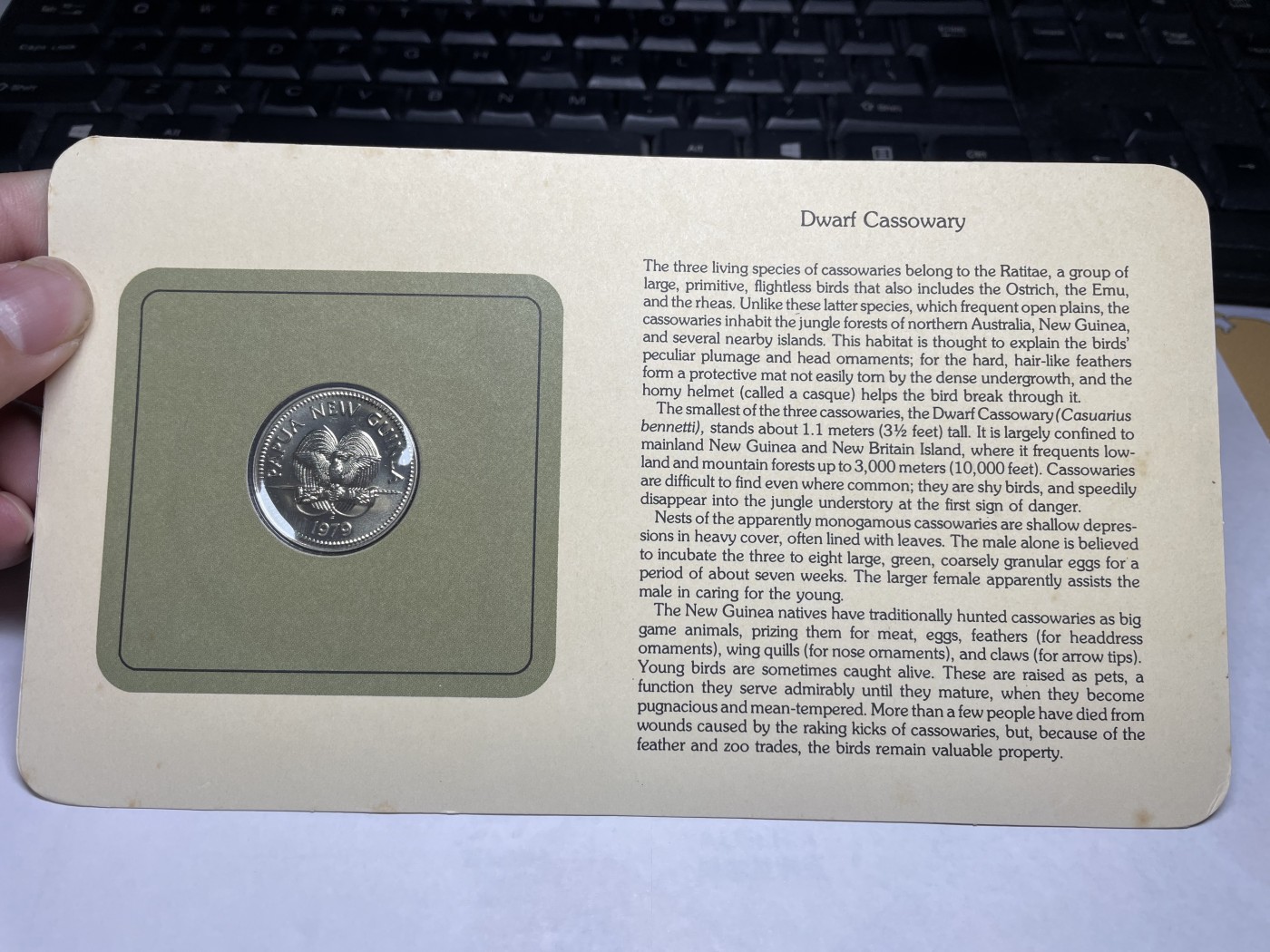 2024年集古藏今外币拍卖第三期-第1场—硬币上的鸟类专场（总第21拍） 1979年巴布亚新几内亚20分—火鸡