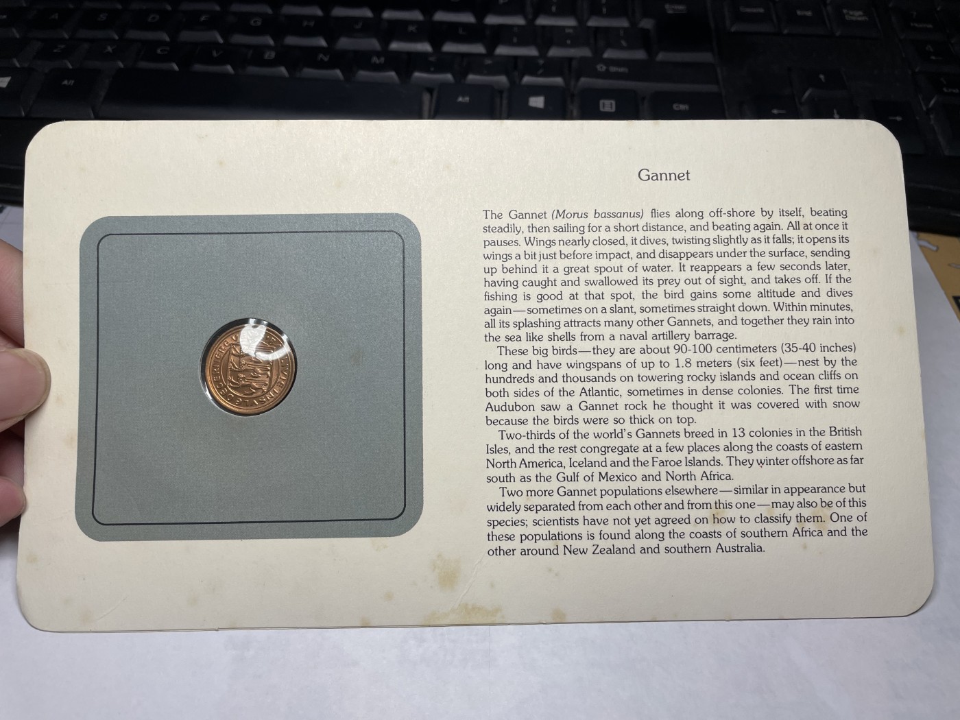 2024年集古藏今外币拍卖第三期-第1场—硬币上的鸟类专场（总第21拍） 1979年英属根西岛1便士—塘鹅