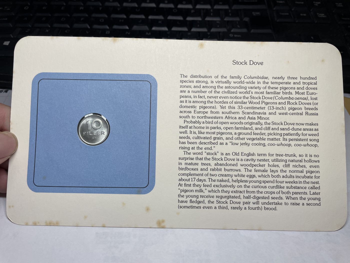 2024年集古藏今外币拍卖第三期-第1场—硬币上的鸟类专场（总第21拍） 1973年匈牙利10菲勒—欧洲野鸽