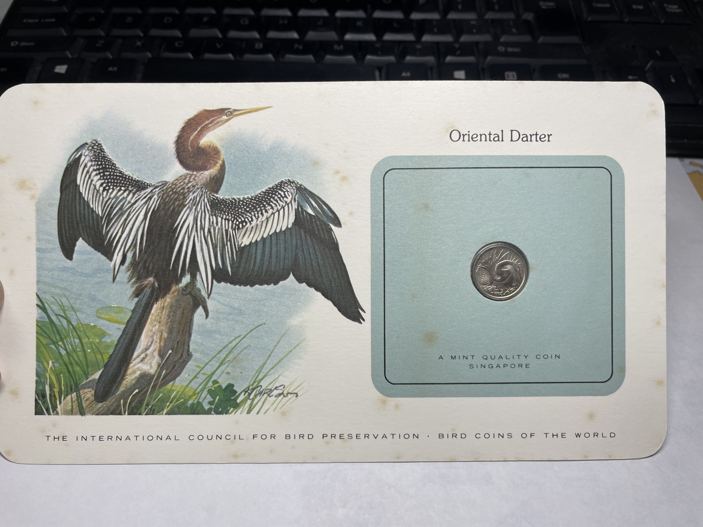 2024年集古藏今外币拍卖第三期-第1场—硬币上的鸟类专场（总第21拍） 1979年新加坡5分—大白鹭