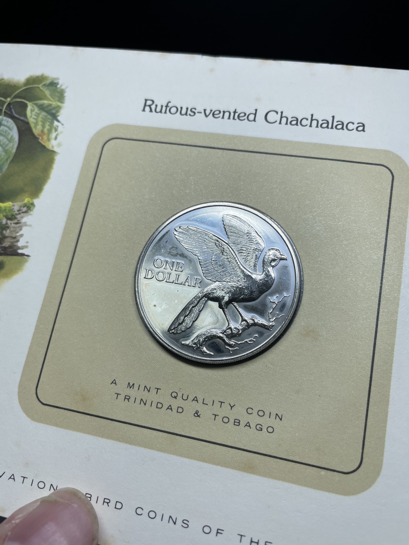 2024年集古藏今外币拍卖第三期-第1场—硬币上的鸟类专场（总第21拍） 1980年特立尼达和多巴哥1元—红尾冠雉