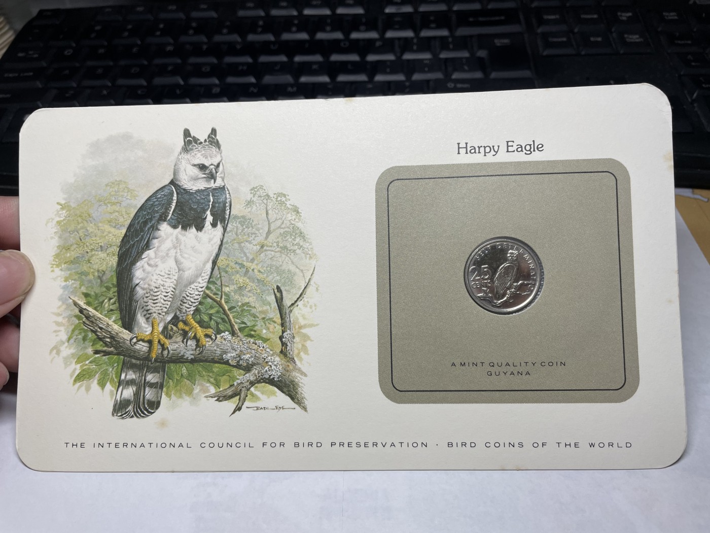 2024年集古藏今外币拍卖第三期-第1场—硬币上的鸟类专场（总第21拍） 1980年圭亚那25分—美洲角雕