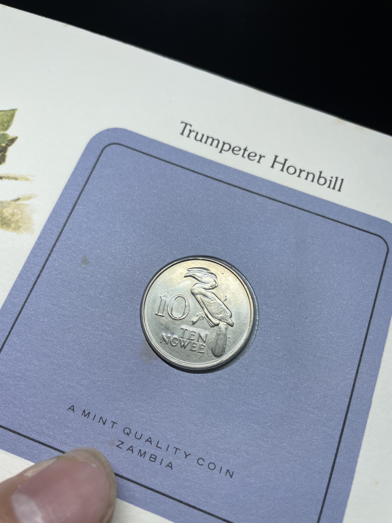 2024年集古藏今外币拍卖第三期-第1场—硬币上的鸟类专场（总第21拍） 1978年赞比亚1先令—冠犀鸟