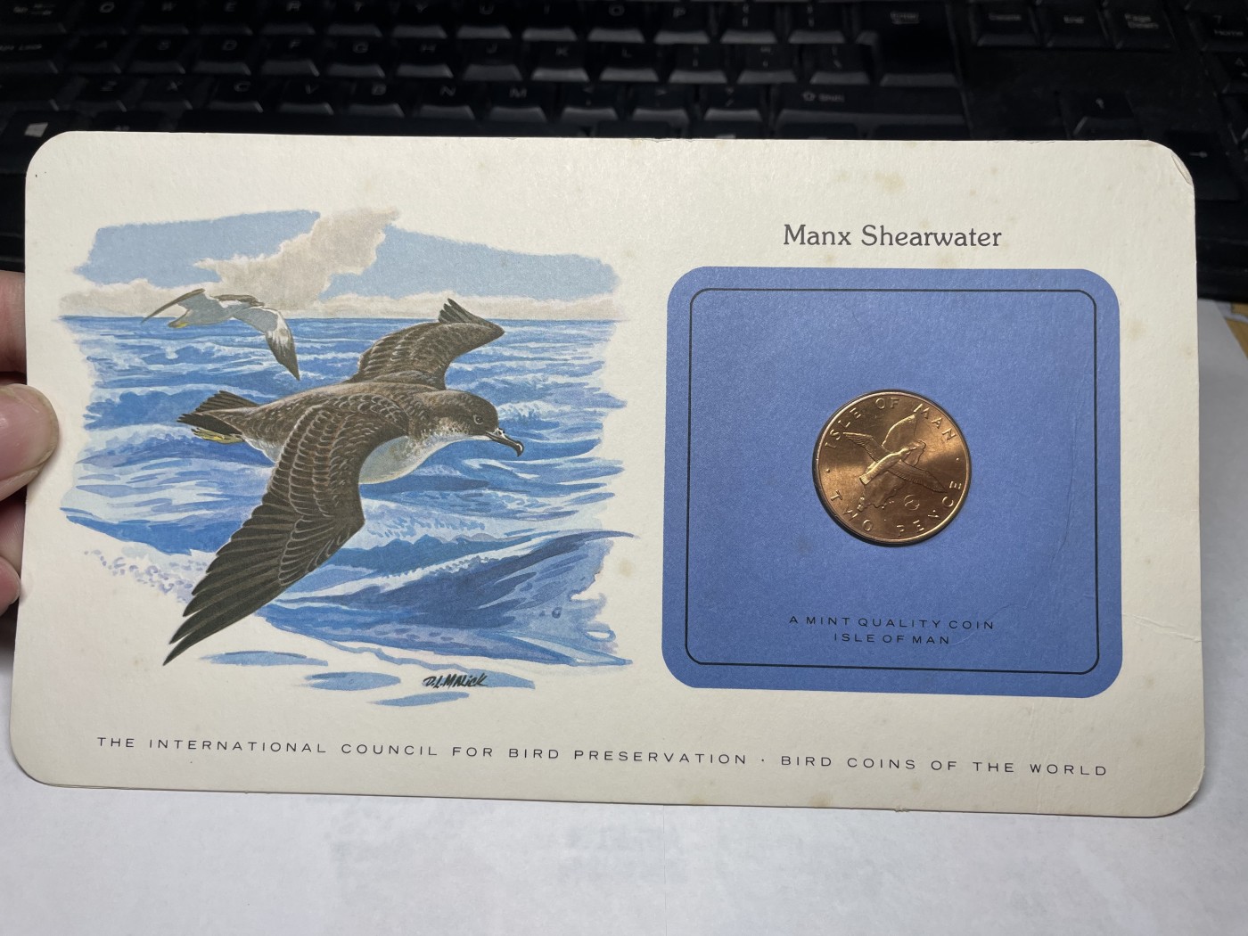 2024年集古藏今外币拍卖第三期-第1场—硬币上的鸟类专场（总第21拍） 1979年英属马恩岛2便士—大西洋鹱