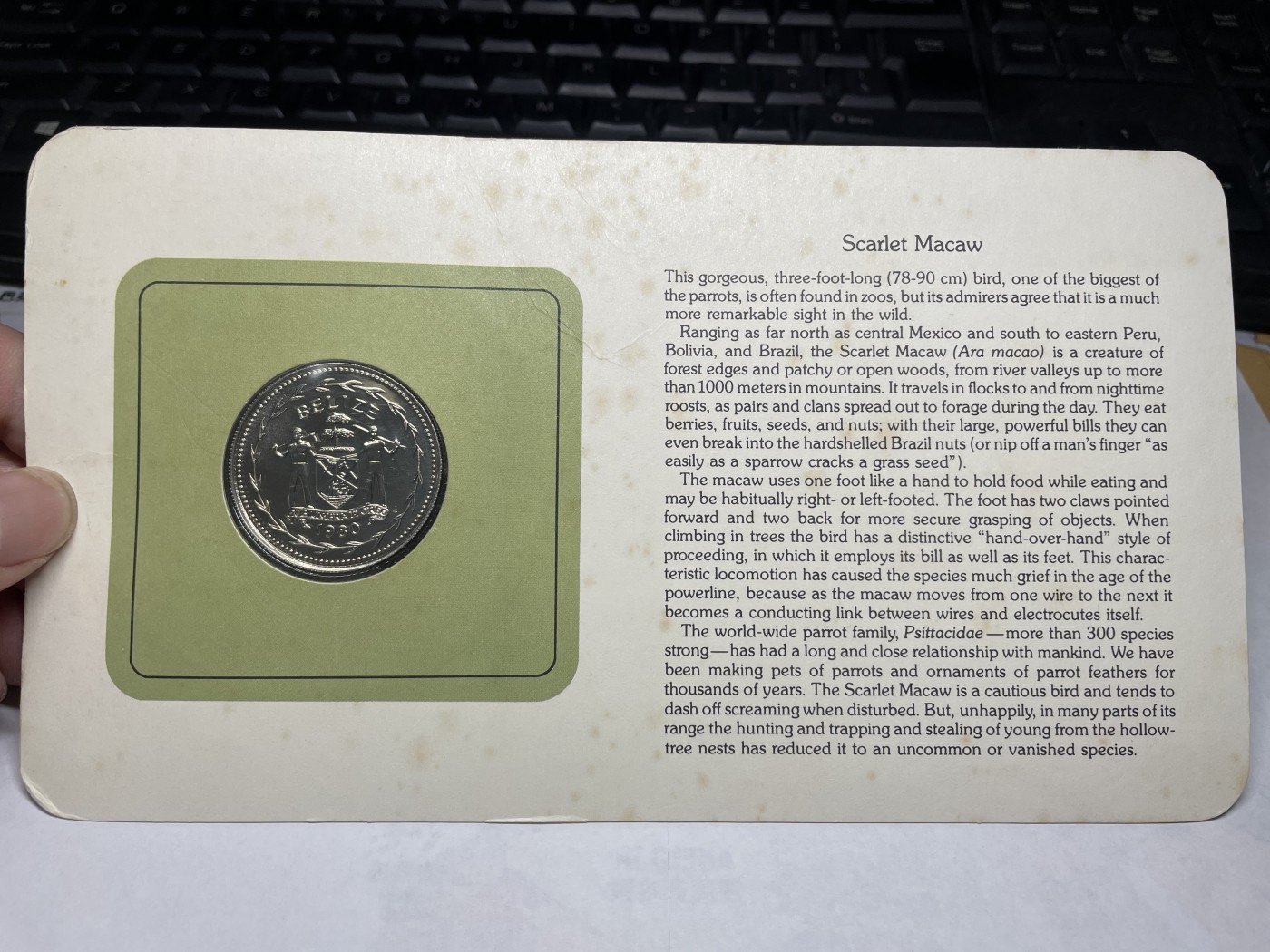 2024年集古藏今外币拍卖第三期-第1场—硬币上的鸟类专场（总第21拍） 1980年伯利兹1元—金刚鹦鹉