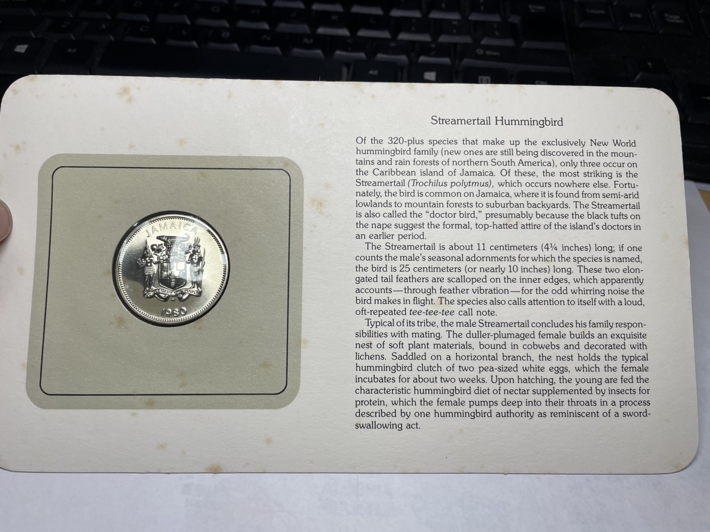 2024年集古藏今外币拍卖第三期-第1场—硬币上的鸟类专场（总第21拍） 1980年牙买加25分—流光尾蜂鸟