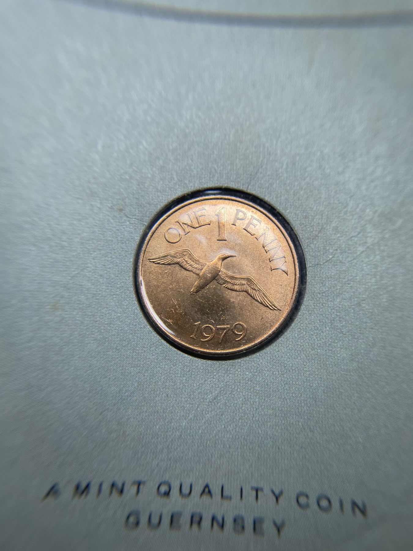 2024年集古藏今外币拍卖第三期-第1场—硬币上的鸟类专场（总第21拍） 1979年英属根西岛1便士—塘鹅